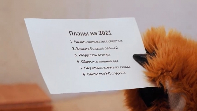 Ростовчанам рассказали, как выбрать цели на 2021 год