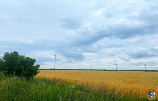 В Ростовской области пилот вертолета без документов опрыскивал поля