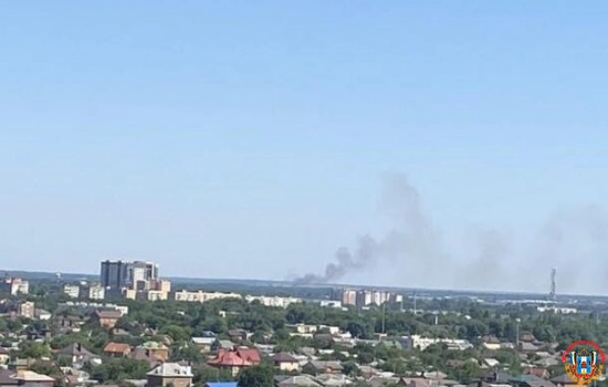 Под Новочеркасском 25 спасателей тушат крупный ландшафтный пожар