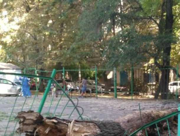 Жара спасла малышей от убийственного дерева на детской площадке Ростова