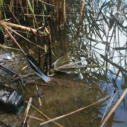 С предприятия в Ростовской области взыскали 300 тыс. рублей из-за искусственного пруда