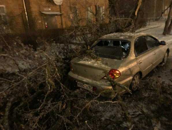 Обледеневшее дерево обломилось пополам и размозжило припаркованную у дороги иномарку под Ростовом