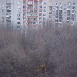 Жители Ростова в ужасе от вырубки красивой рощи ради строительства трех безликих многоэтажек