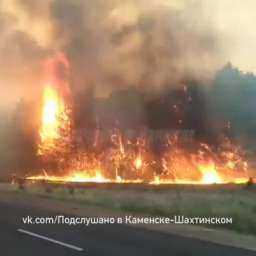 У города Каменск-Шахтинский полыхает лес