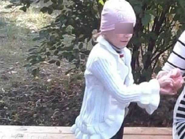 Заочно числившаяся погибшей 11-летняя особенная девочка обнаружена в Ростовской области