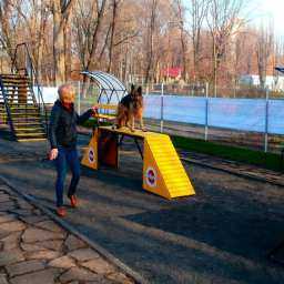 Все собаки Ростова должны побывать в этом интересном месте