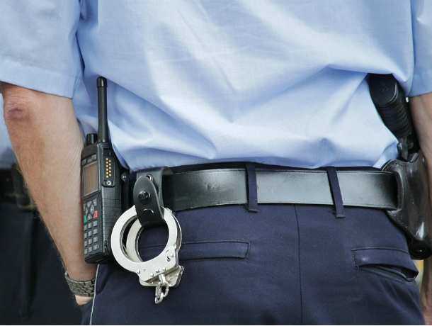 Полицейский-взяточник получил дачу в садах под Ростовом
