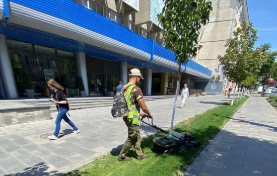 Почти 300 человек в Ростове привлекли к ответственности за нескошенные сорняки