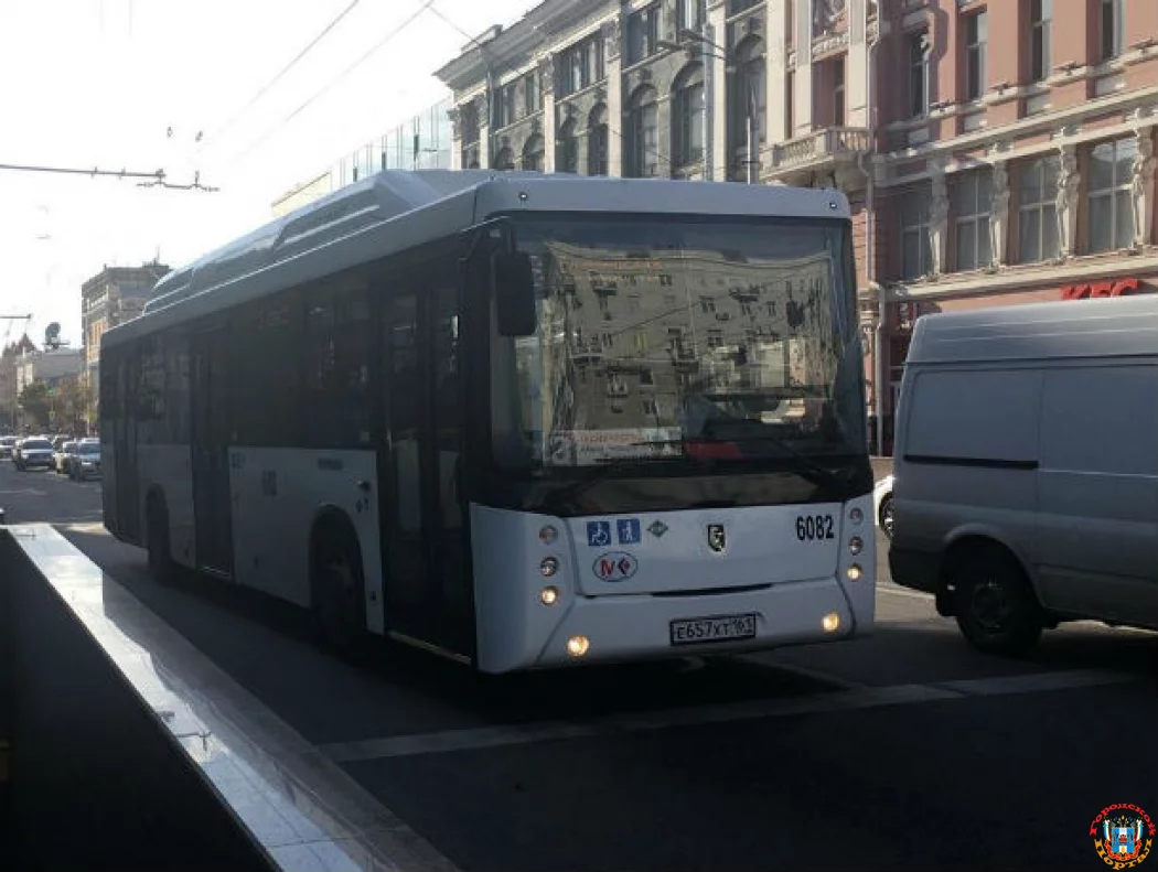 Какие документы нужно возить с собой ростовским льготникам?