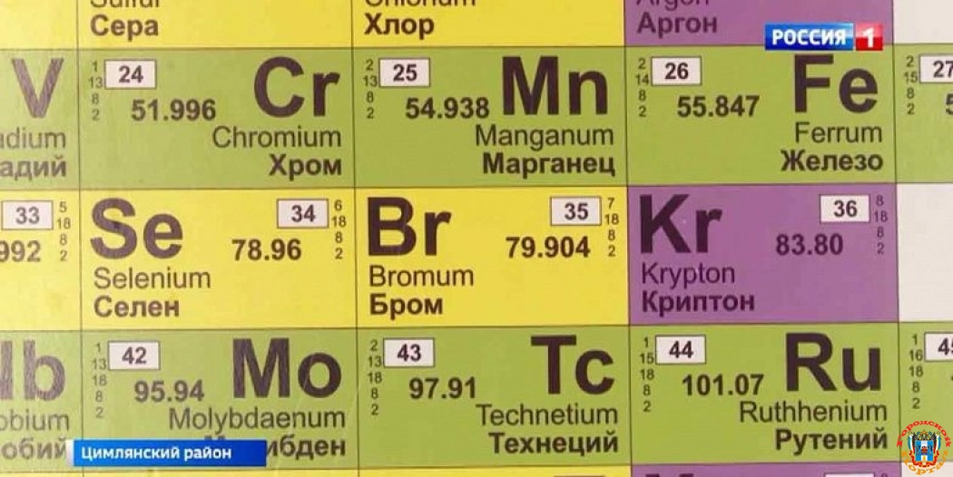 Ростовский выпускник написал госэкзамен на 100 баллов и по химии, и по русскому языку