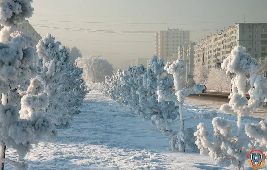 В Ростове будут морозы большую часть рабочей недели