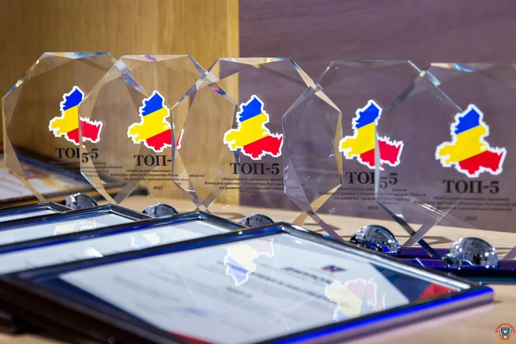 Областные субсидии получат на Дону пять лучших НКО-проектов