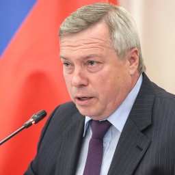 Глава Ростовской области оказался на 51 месте в национальном рейтинге губернаторов
