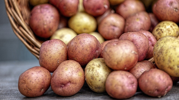Россия запретила поставку картофеля из одного региона Египта