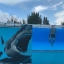 На Дону появился первый в России 3D бассейн с прозрачными стенами в виде Птицы 2