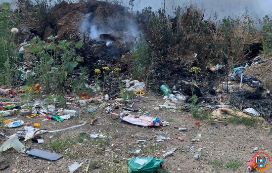 В Донецке три дня горит мусорный полигон