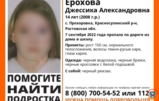 В Ростовской области нашли убитой пропавшую 14-летнюю девочку