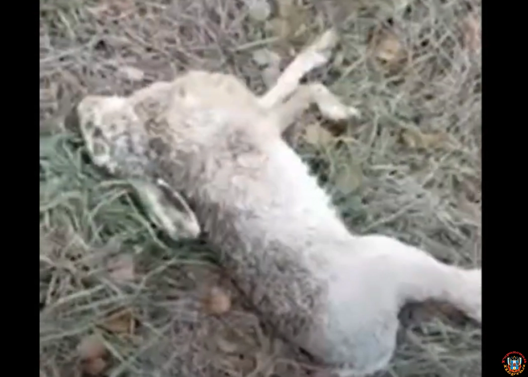 Минприроды наказало виновных в массовой гибели животных в Ростовской области
