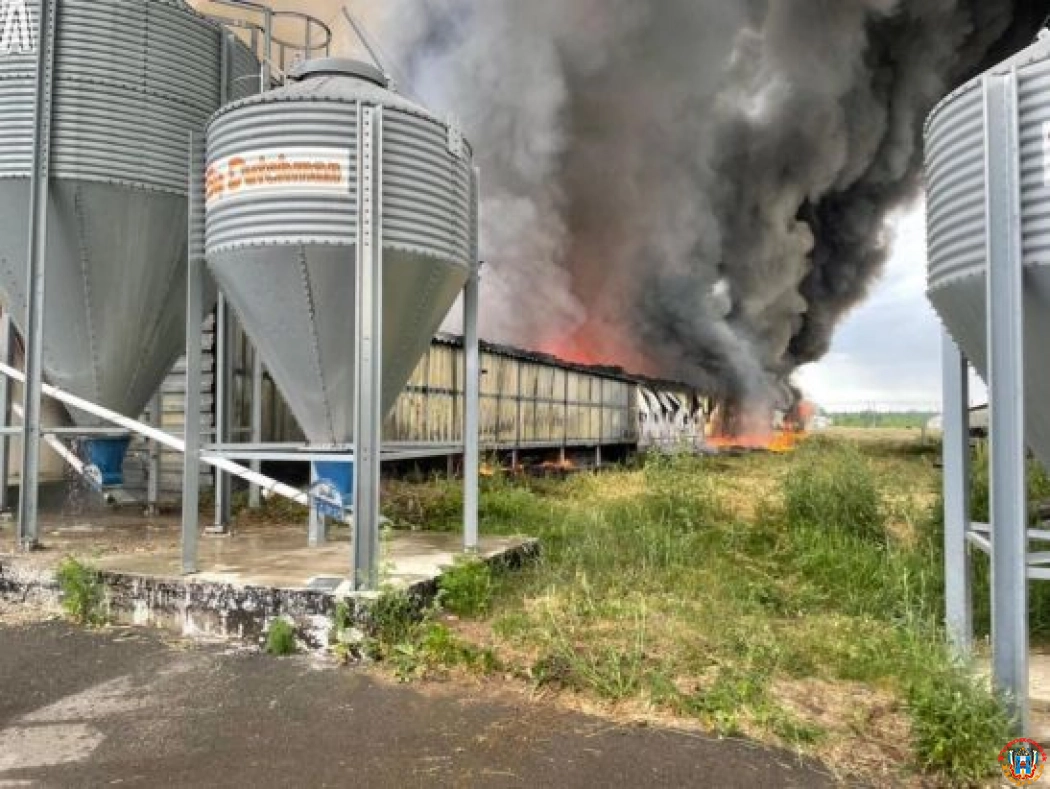 При пожаре на птицефабрике в Каменском районе заживо сгорели более 10 тысяч кур