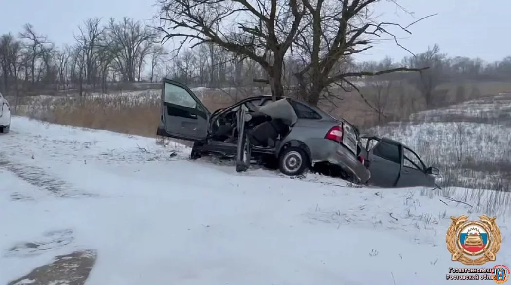 Смертельный таран дерева: под Веселым молодой водитель &laquo;Приоры&raquo; погиб в жуткой аварии