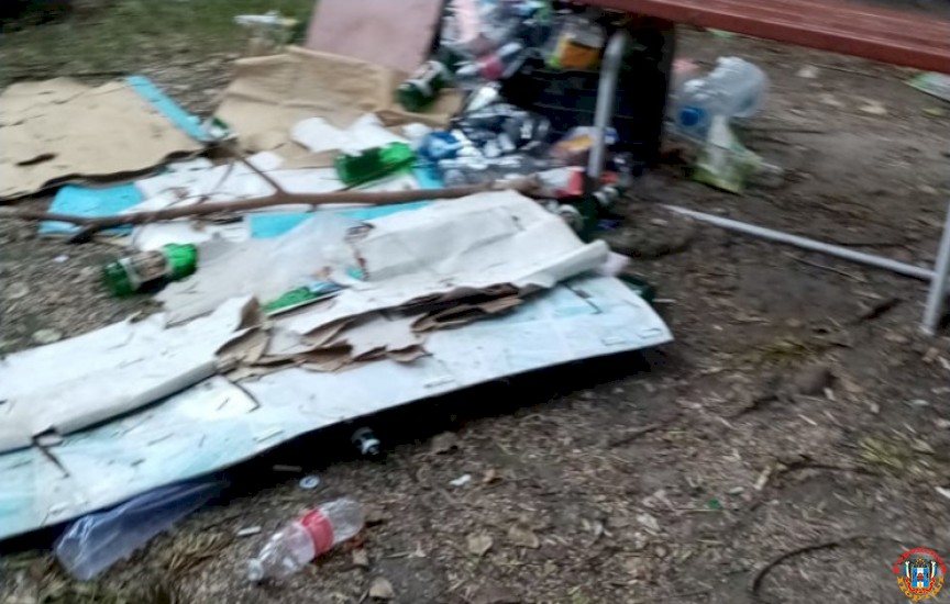 Ростовчане пожаловались на грязные детские площадки в Александровке