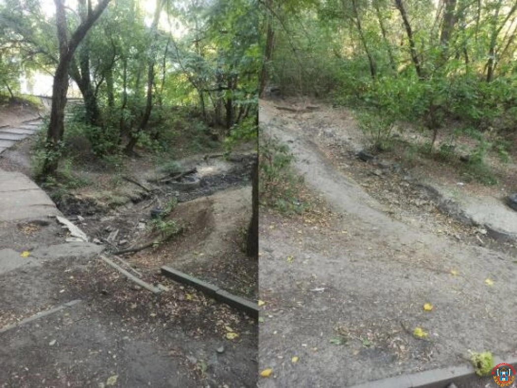 Жители Ростова просят очистить ручей Темерничка в Лелюшенковском лесопарке