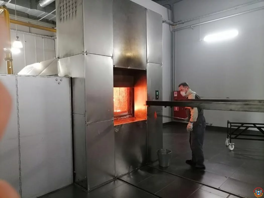 Миллионы на утилизацию биоматериала: Патологоанатомическое бюро Дона ищет оператора для спецотходов