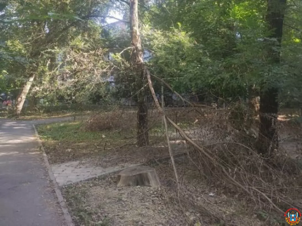 В Ростове на Погодина огромное дерево перегородило тротуар