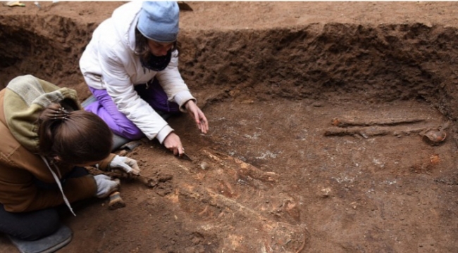 В Ростовской области археологи обнаружили необычное захоронение знатного скифа
