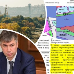 Сити-менеджер Ростова Логвиненко резко поменял свою позицию по застройке рощи на левом берегу