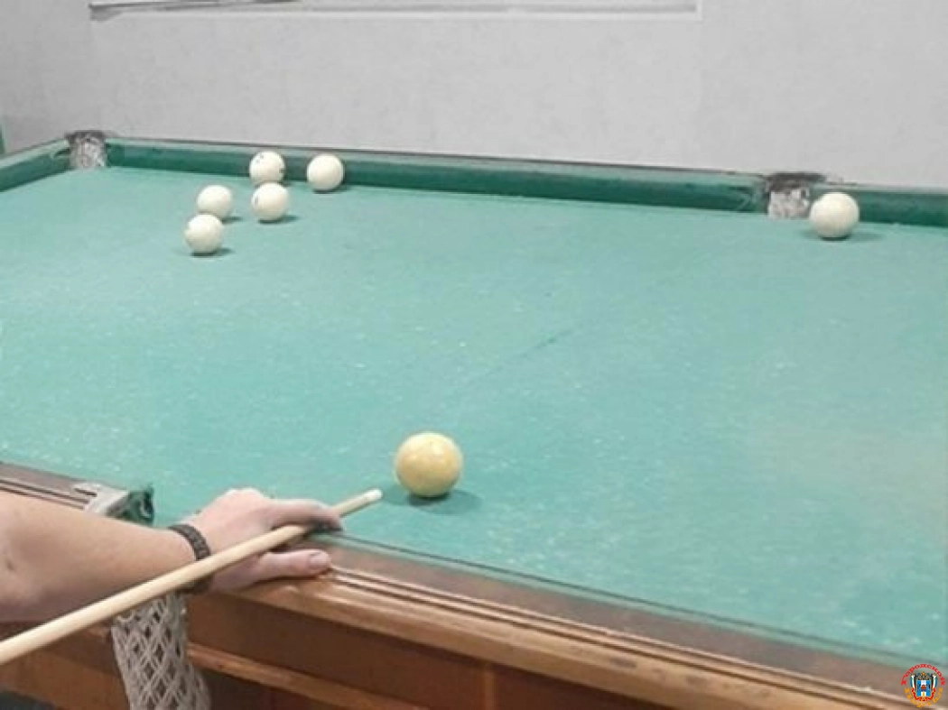 На Дону в сельской бильярдной мужчину до смерти избили из-за разногласий во взглядах