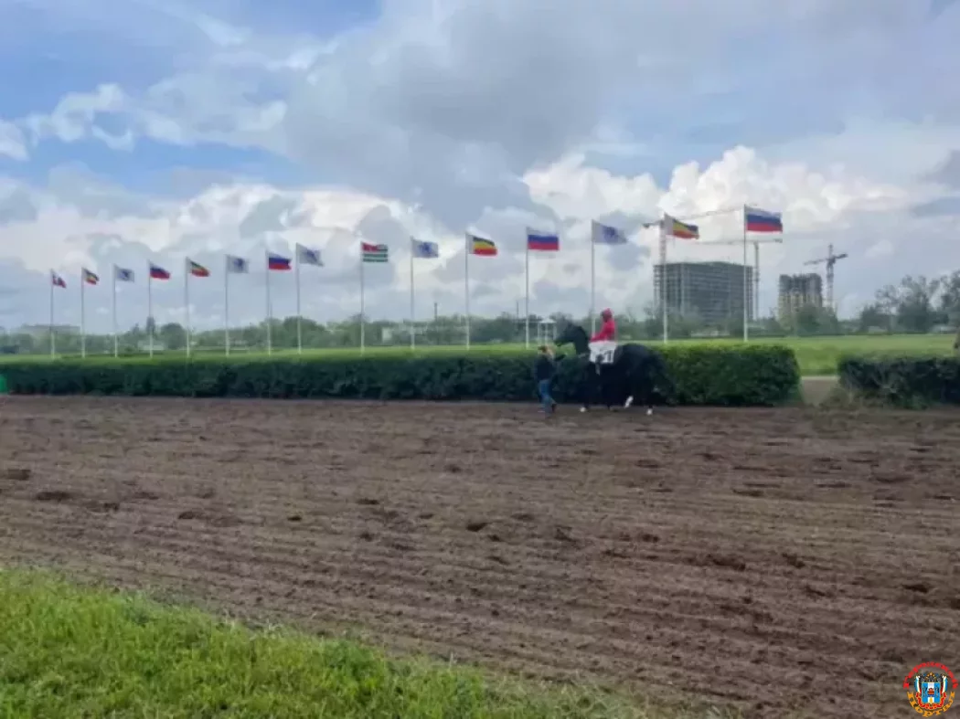 Назначения земель «Ипподрома Ростовский» планирует оспорить минимущества