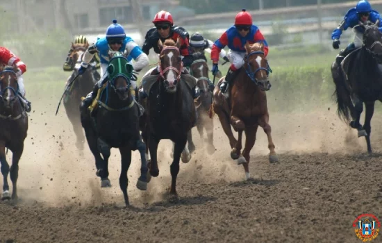 Выдвинул условия собственник Ростовского ипподрома владельцам лошадей