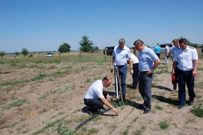 В Ростовской области восстанавливают «зеленые легкие» региона