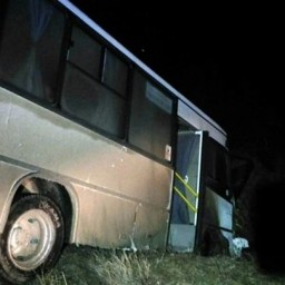 В Крыму автобус с пассажирами съехал в кювет, двое пострадали