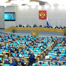 В Госдуме проведут служебное расследование