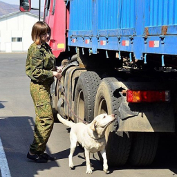 В Ростовской области начальник таможенного поста попался на крупной взятке