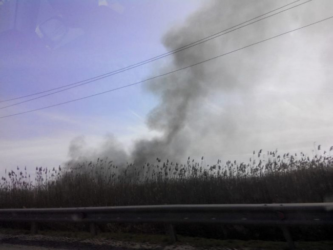 МЧС: в Аксайском районе потушили ландшафтный пожар