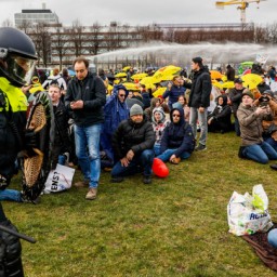 Беспорядки в Гааге: около 20 задержанных