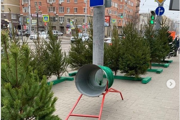 Незаконную торговлю елками пресекли в центре Ростова-на-Дону