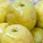 На ростовских рынках появились мочёные арбузы, яблоки и сливы 1