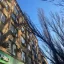 В центре Ростова ураганный ветер повалил взрослые деревья 1