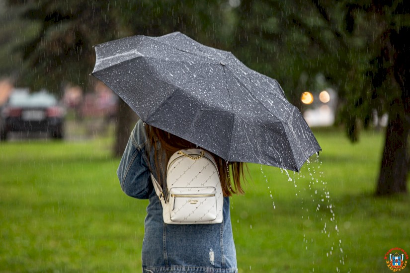 В понедельник в Ростове ожидается дождь с грозой