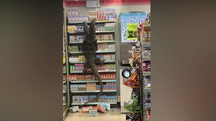 Крупный варан распугал посетителей магазина в Таиланде