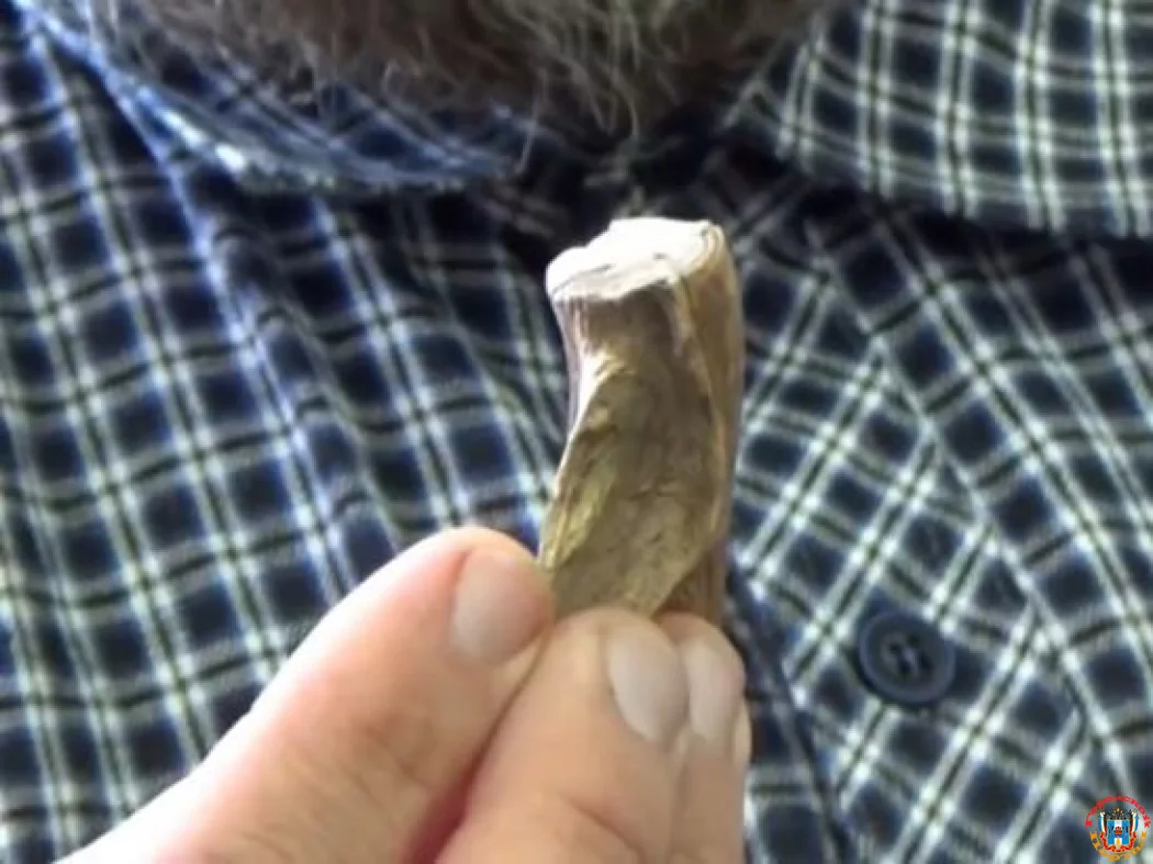 Азовские археологи нашли орудие из рыбьей кости XVIII века