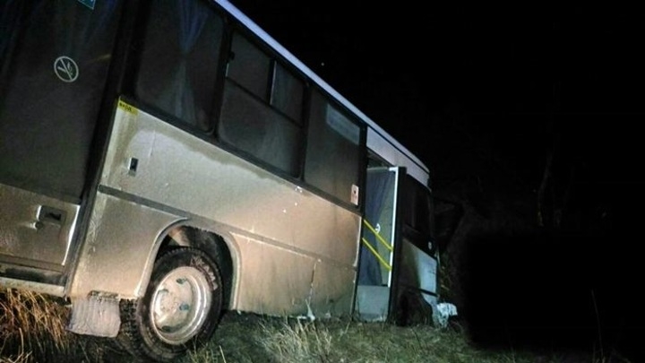 В Крыму автобус с пассажирами съехал в кювет, двое пострадали