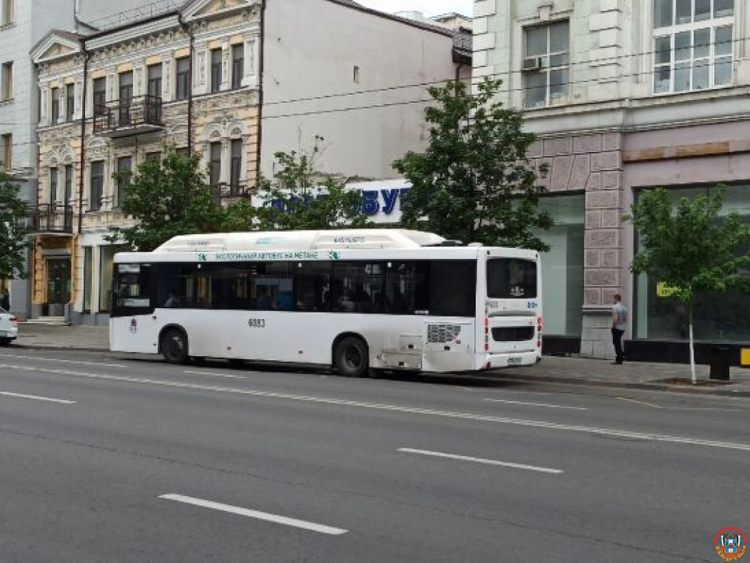 Ростовчане просят пустить автобус от улицы Мечникова до Красноармейской