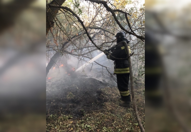 В Ростовской области потушили лесной пожар, из-за которого эвакуировали хутор