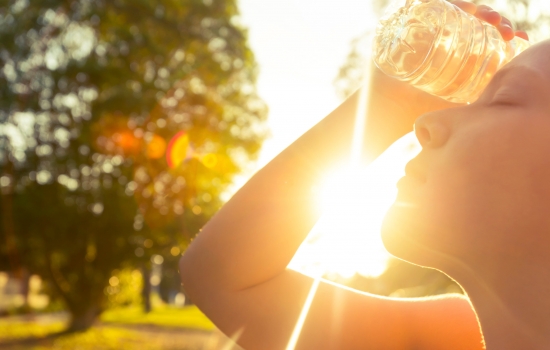 Жара, солнце и сильный ветер ожидаются в Ростове на этой неделе