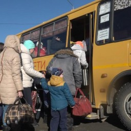 В Ростовскую область за прошедшие сутки въехали более 14,5 тыс беженцев из Донбасса